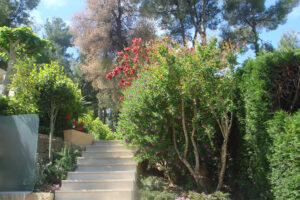 Nafsika garden stairs